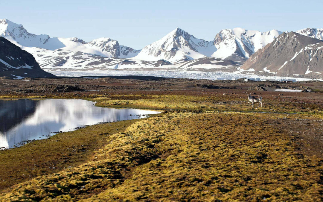 Zeilvakantie Spitsbergen Arctisch Voorjaar 1
